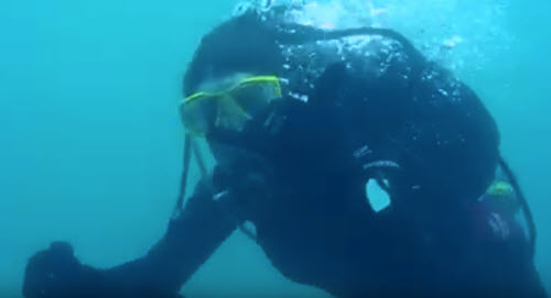 Southern SeaQuestrians, a scuba diving club in the Atlanta area part of the National Association of Black Scuba divers providing lessons, experience, and more